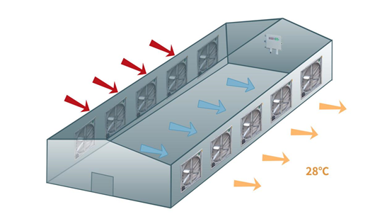 養(yǎng)殖場通風示意圖