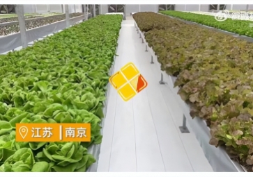 聚英智慧溫室控制系統(tǒng)，建設(shè)植物工廠，一年多茬