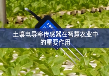 土壤電導率傳感器在智慧農(nóng)業(yè)中的重要作用