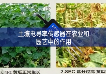 土壤電導率傳感器在農(nóng)業(yè)和園藝中的作用